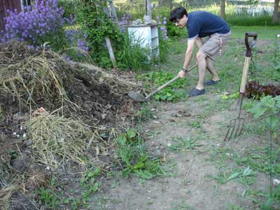 [snapturtlecompost18.jpg]