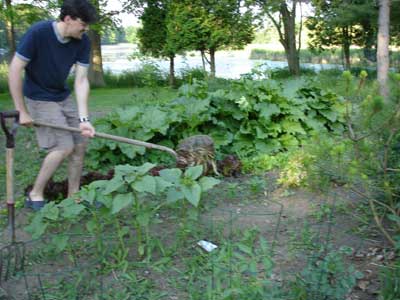 [snapturtlecompost19.jpg]