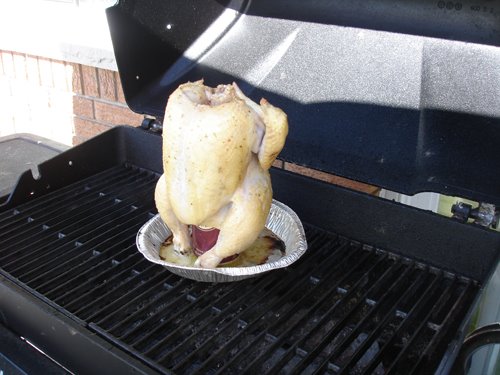 [chicken2.jpg]