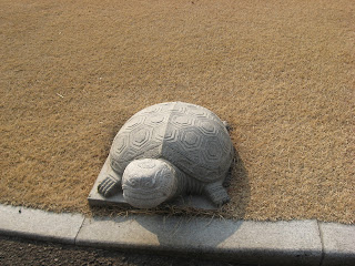 traditional Asian turtle icon