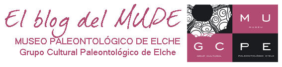 El Blog del MUPE