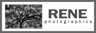 RENE photographics