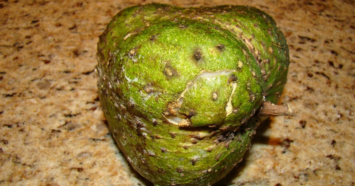 Quiet Reflections of Barbados The Soursop Punch