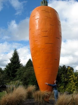 Giant+white+carrot