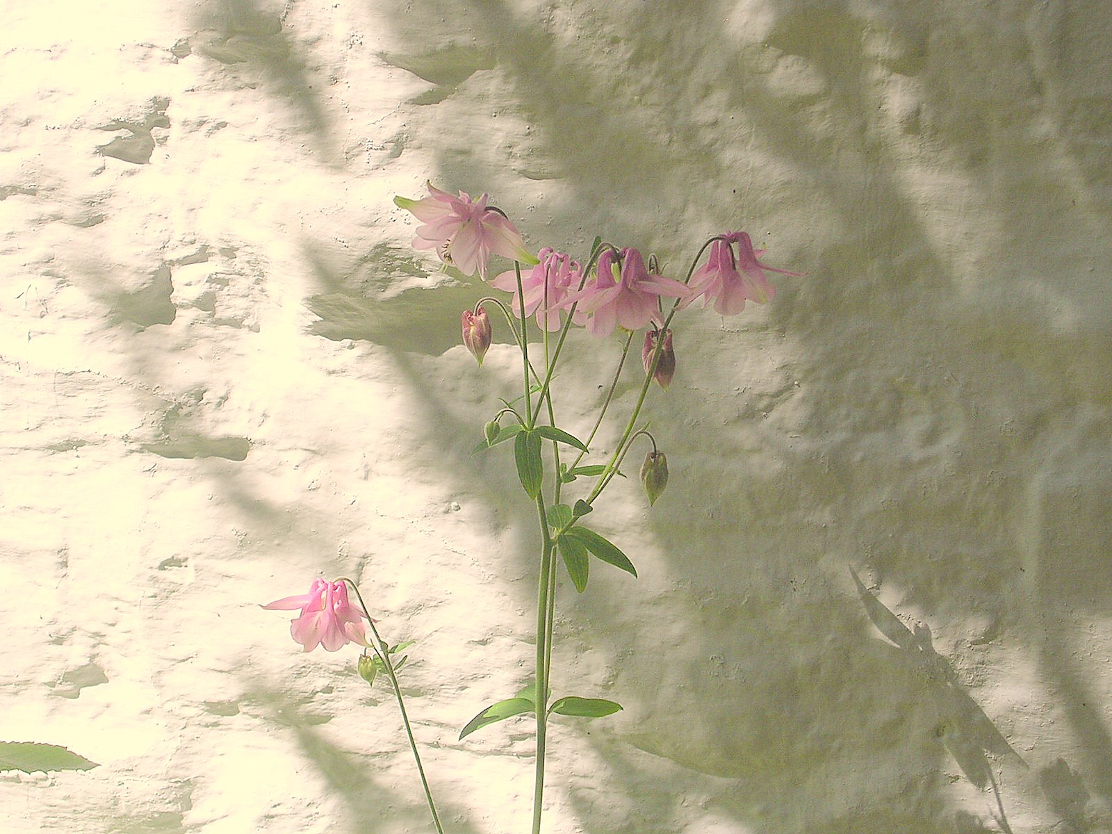 [DSCN1704.JPG]