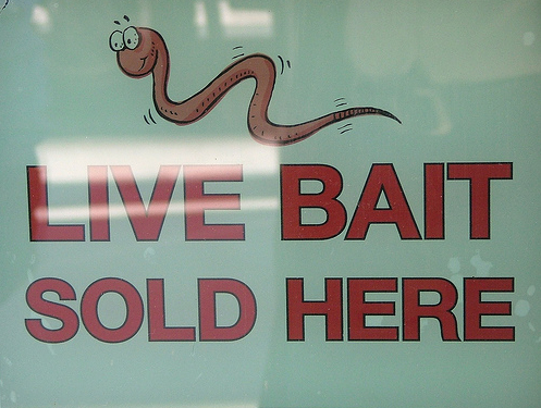 [live+bait+sold+here.jpg]
