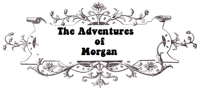 Adventures of morgan