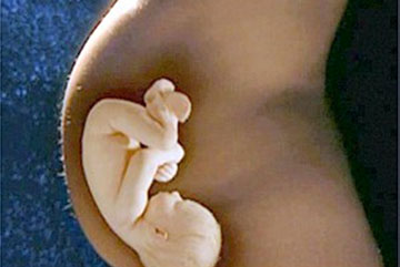 [Salud+Mujer+Embarazo+Bebe.jpg]