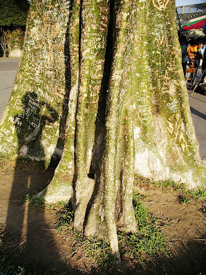 imágenes prestadas: El árbol de las inscripciones