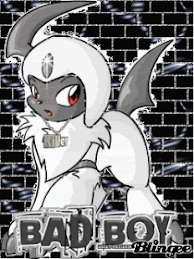 Absol The Cutie!