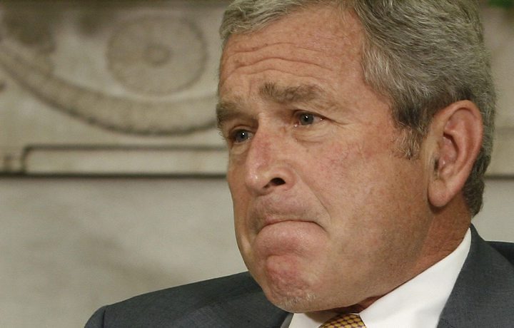 [Bush.jpg]