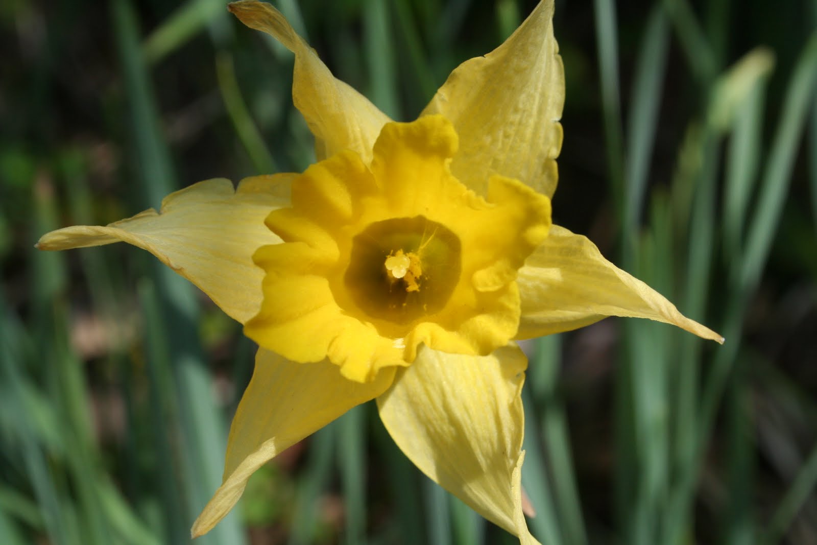 [Spring+2010+027.jpg]