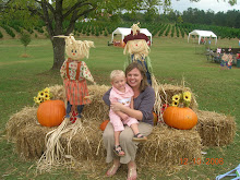 The Pumpkin Patch 2008