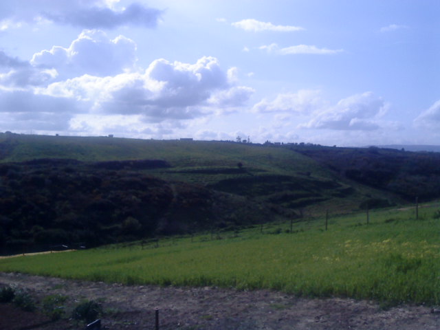 [DSC00490.JPG]