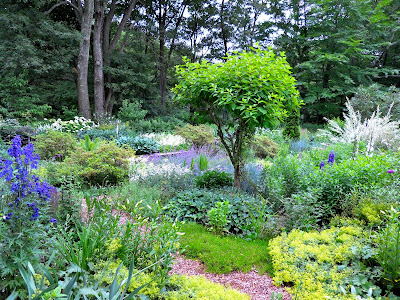 A Year In The Garden: Blue and White
