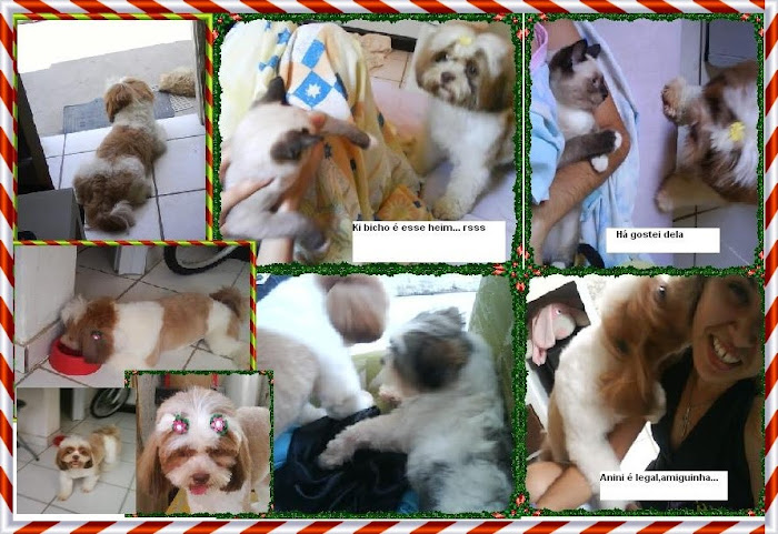 "Millye" Hospedada aqui.