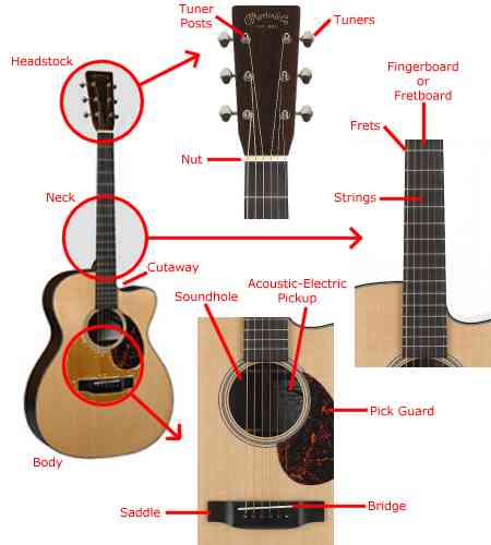 Acoustic Guitar Labels