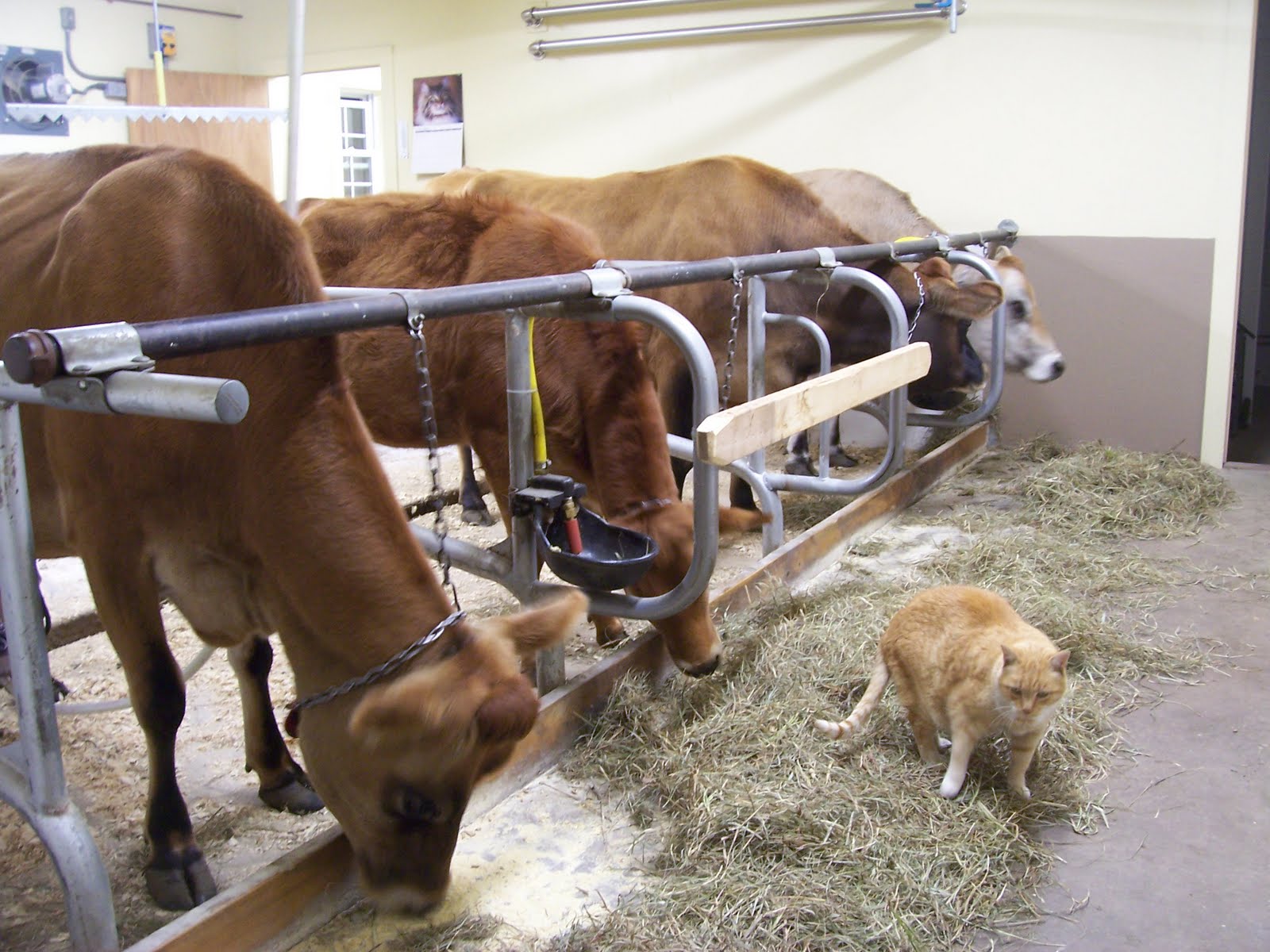 Rachel Carter PR New Farmstead Dairy Equipment Company Opens in South