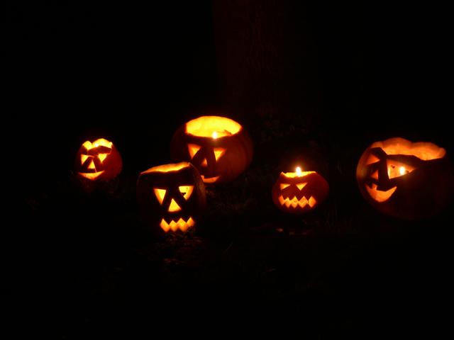 [P1080353+(Small).JPG]