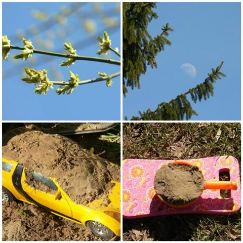 [mosaic9339358+(Small).jpg]