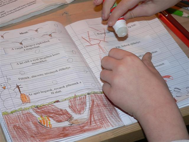 [P1170094+(Small).JPG]