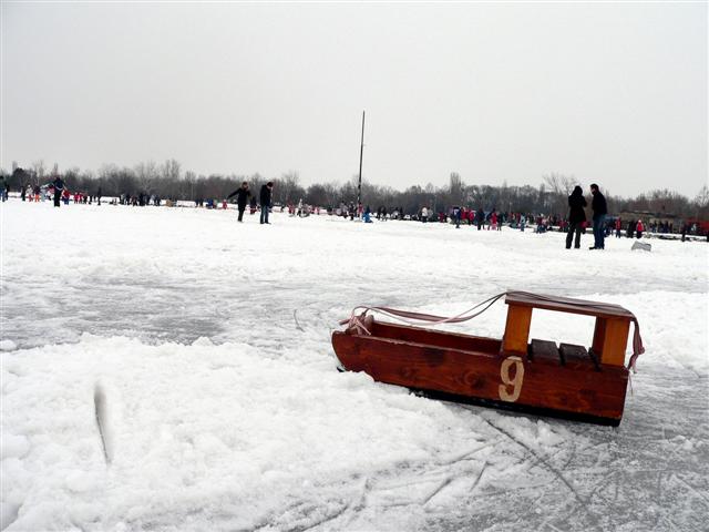 [P1170221+(Small).jpg]