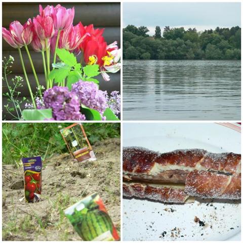 [mosaic8535515+(Small).jpg]