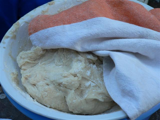 [P1100220+(Small).JPG]