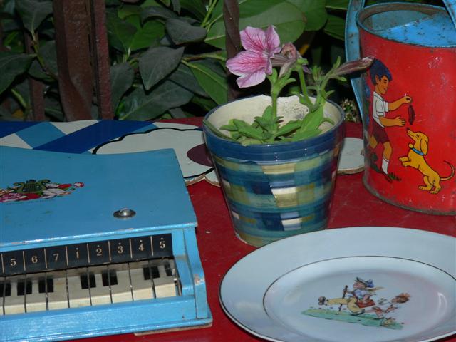 [P1100164+(Small).JPG]