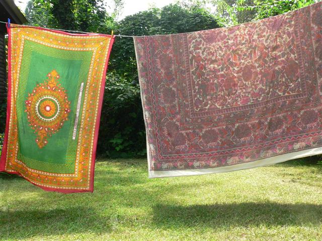 [P1110726+(Small).JPG]