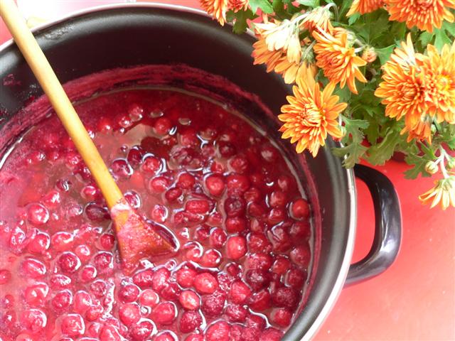 [P1120323+(Small).JPG]