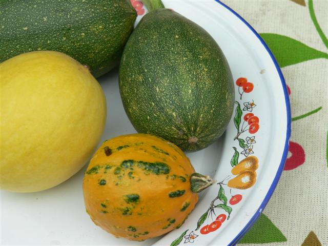 [P1120163+(Small).JPG]