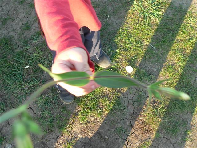 [P1120485+(Small).JPG]