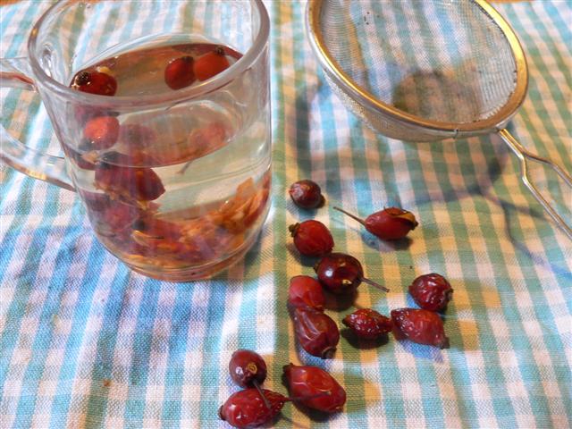 [P1120543+(Small).JPG]