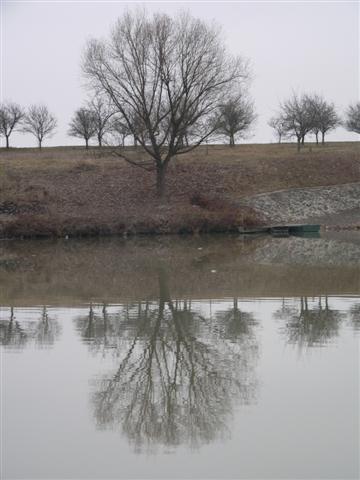 [P1050235+(Small).JPG]