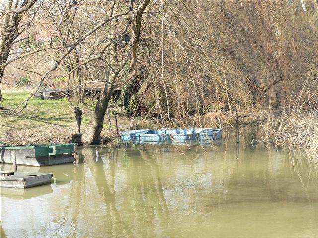 [P1130667+(Small).JPG]