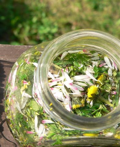 [kölni+(Small).jpg]