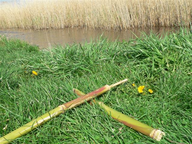 [P1140041+(Small).JPG]