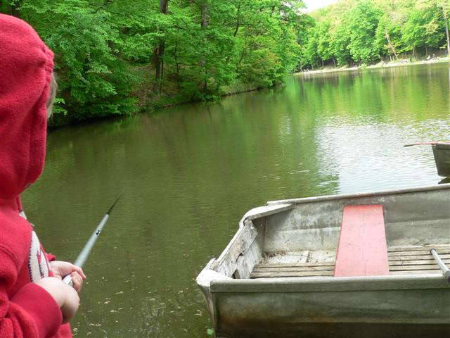 [P1140245+(Small).JPG]