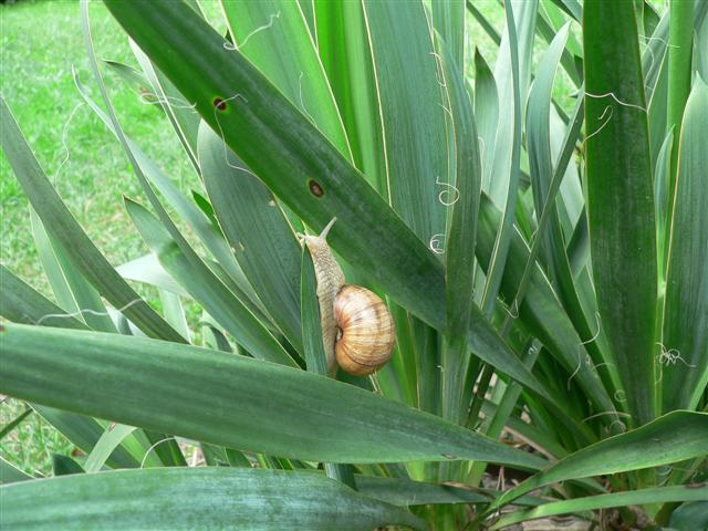 [P1140553+(Small).JPG]