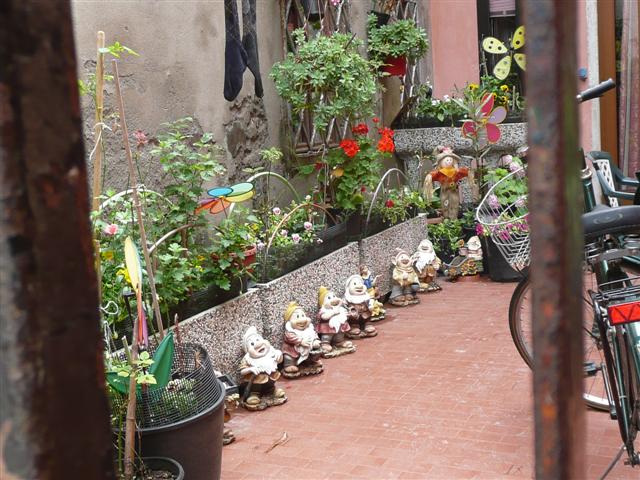 [P1020322+(Small).JPG]