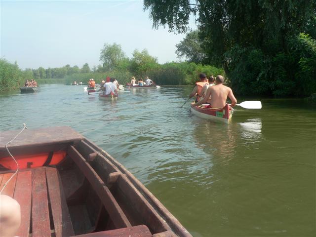 [P1150355+(Small).JPG]