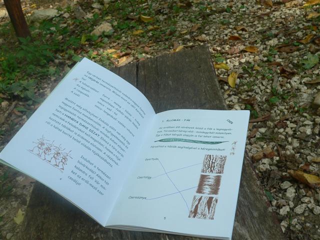 [P1150615+(Small).JPG]