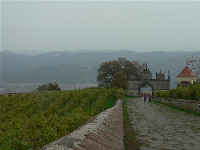 [P1160235+(Small).JPG]