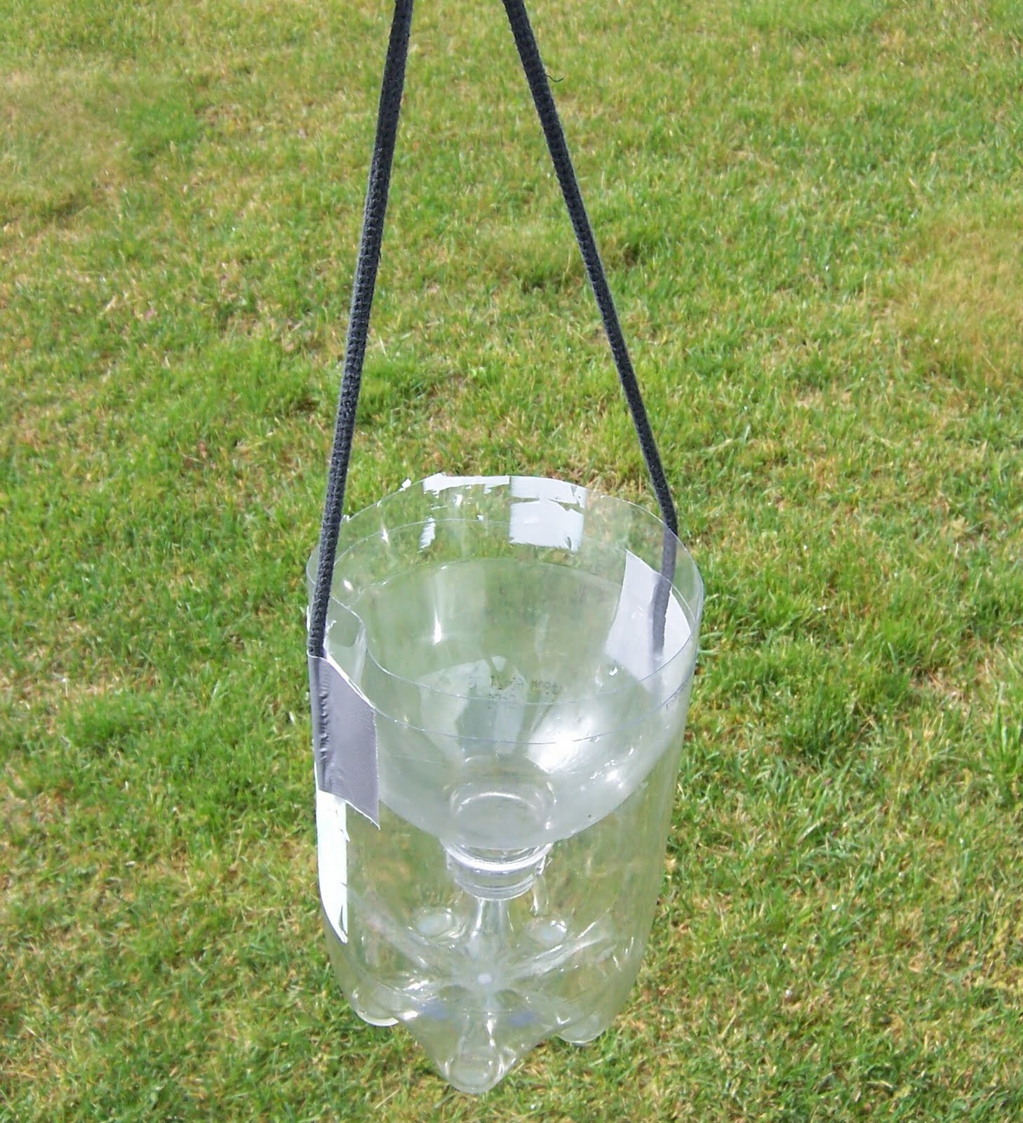 The Wild Domestic An effective, homemade wasp/fly trap, for about 20