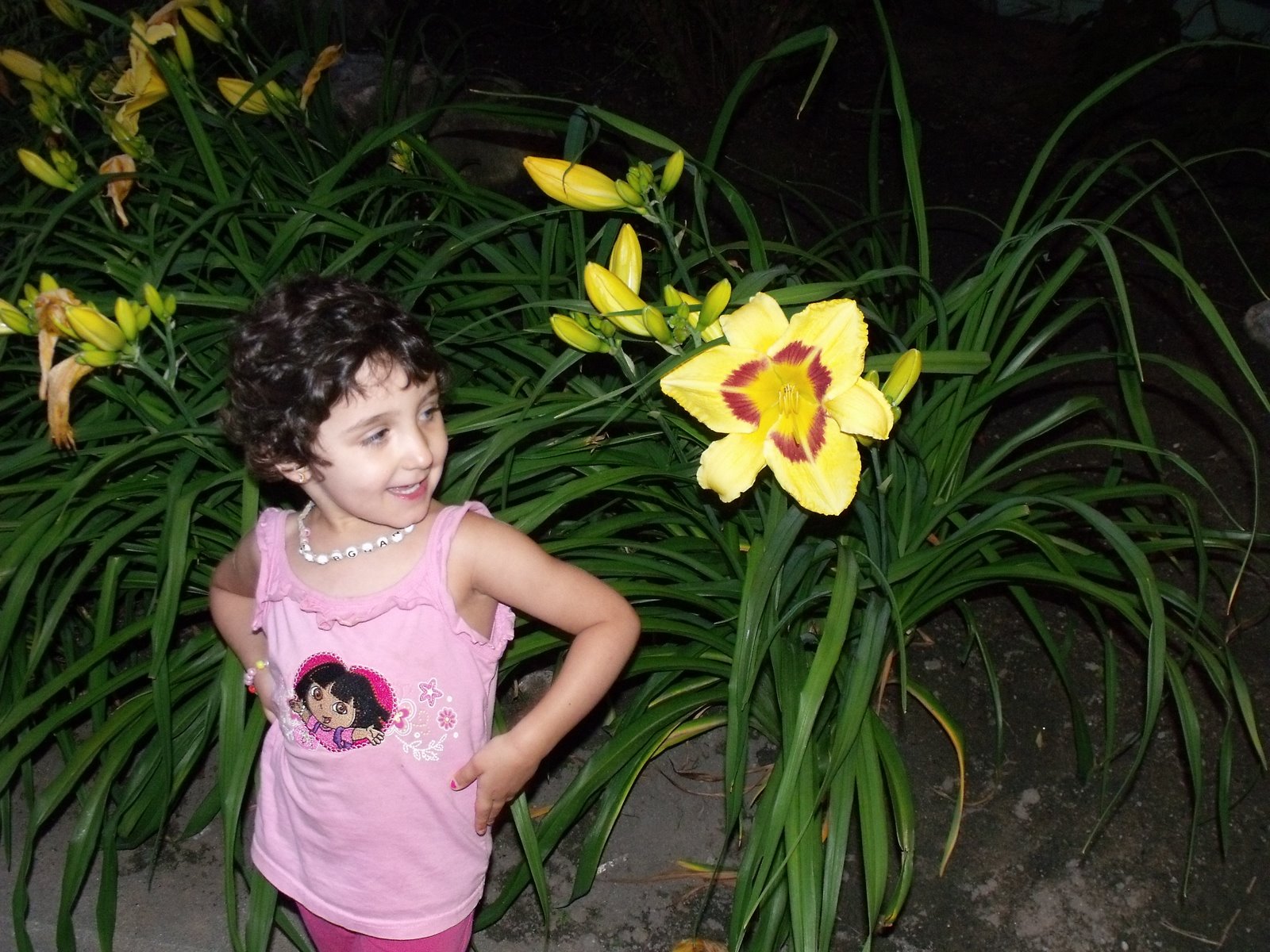 [DSCF1273.JPG]