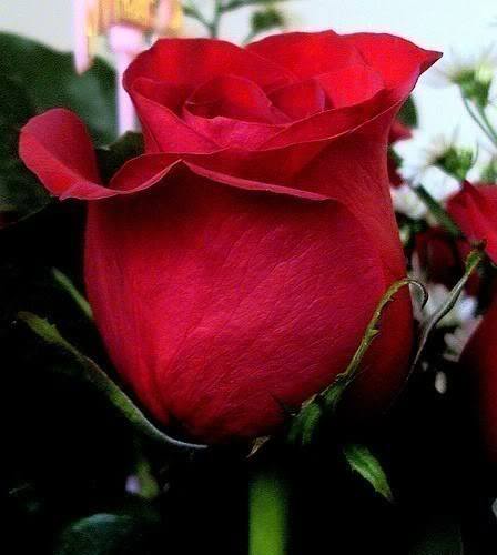 OWNSHOP2U - MEMBELI BELAH SECARA ONLINE