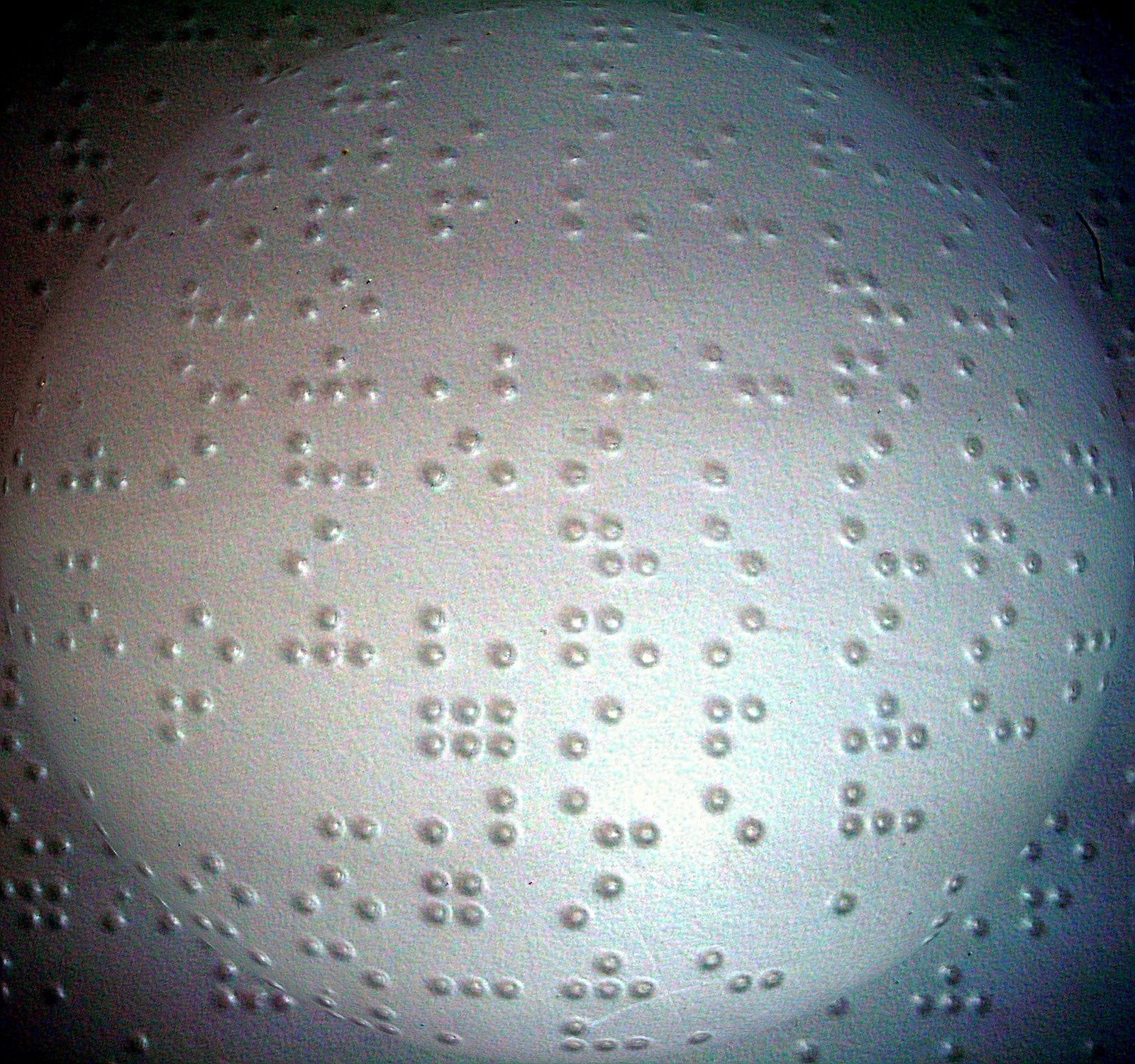 [BRAILLE_1.JPG]