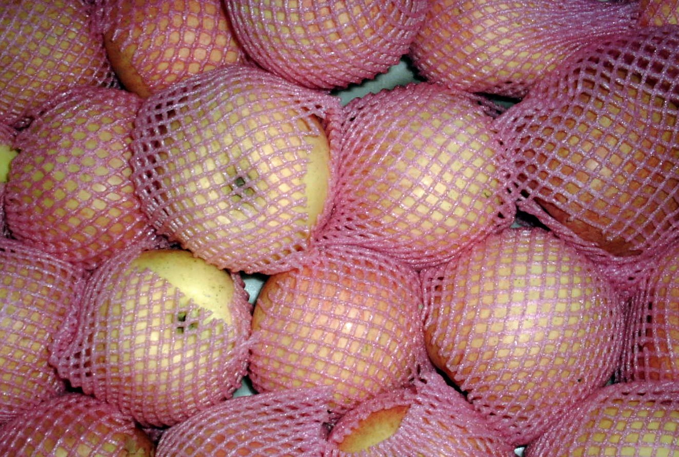 [lingerie_dressed_apples.jpg]