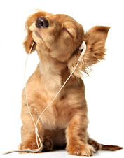 Puppy with the Earphones